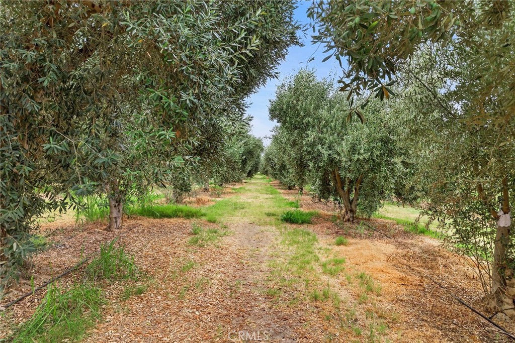 main property photo 68