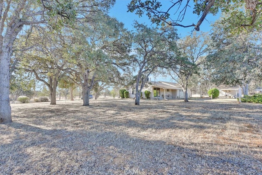 main property photo 38