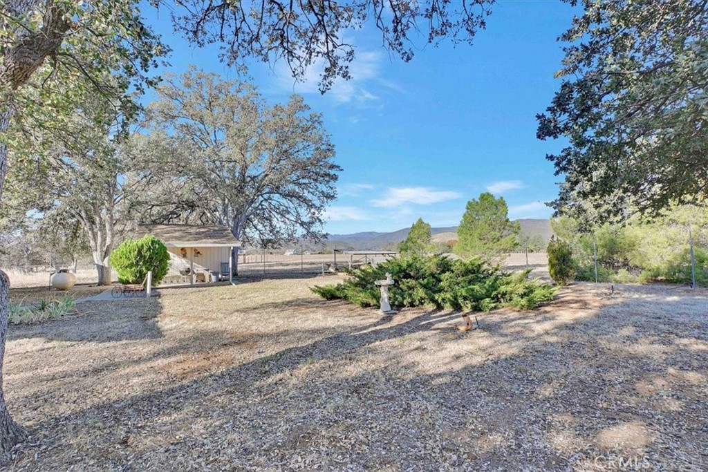 main property photo 40