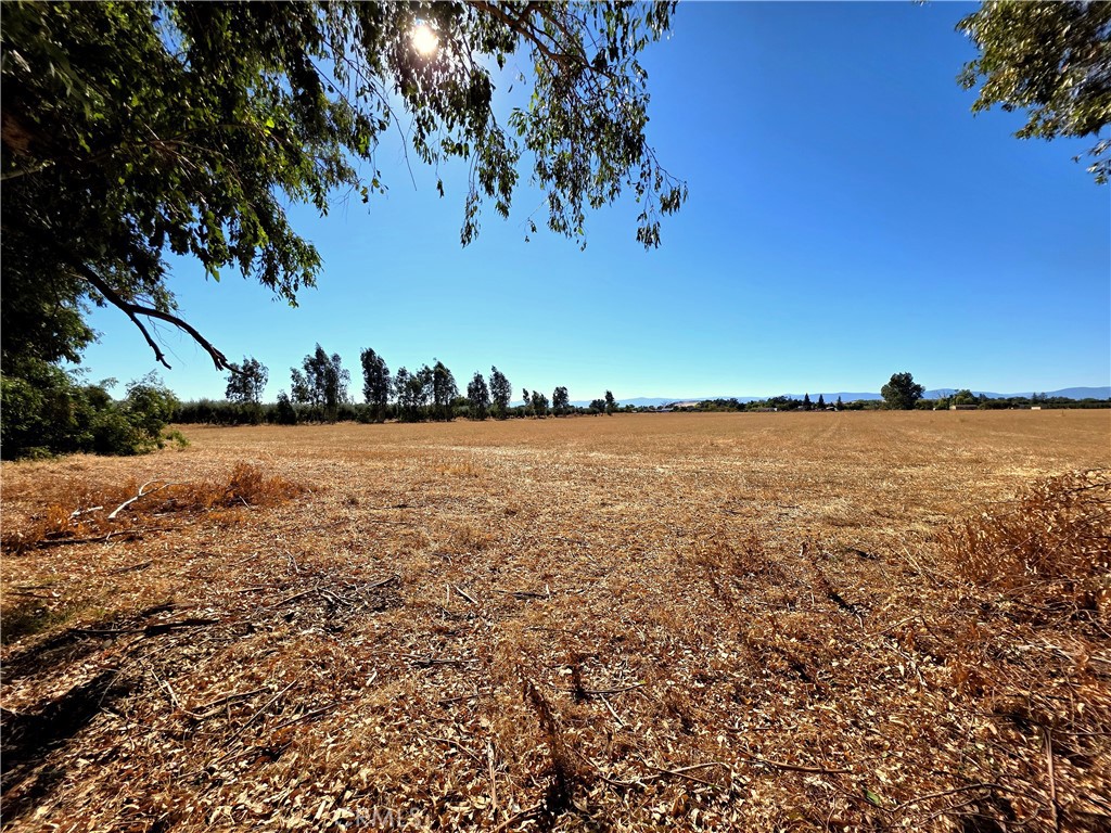 main property photo 48