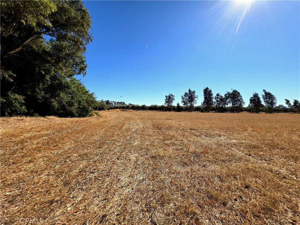 main property photo 50