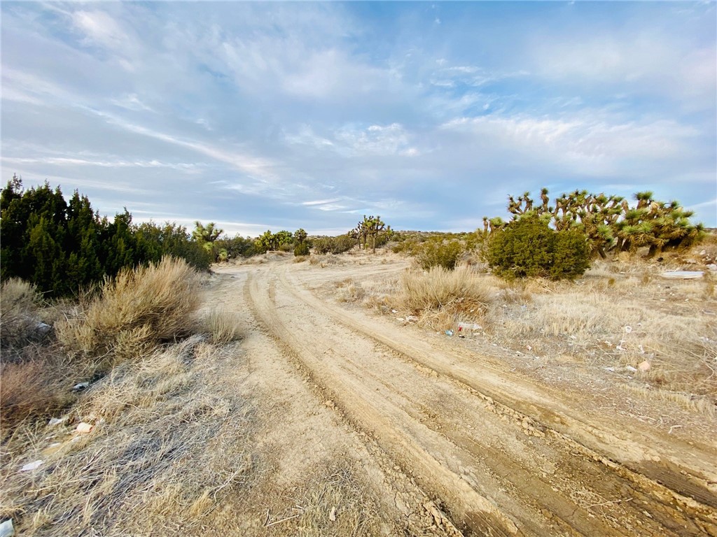 main property photo 4
