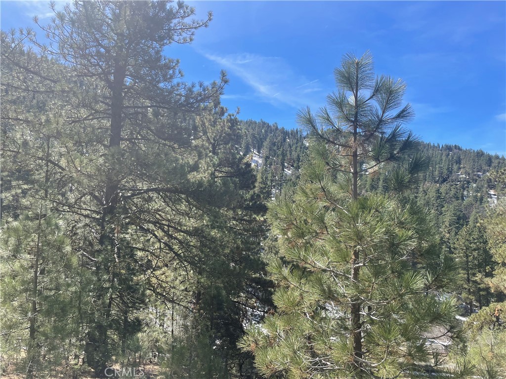 main property photo 11