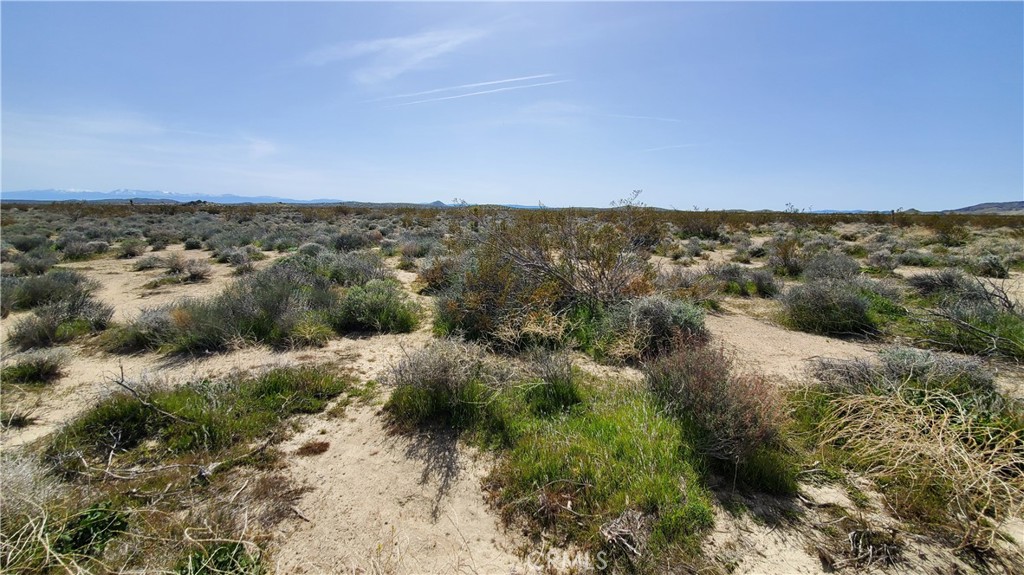 main property photo 10