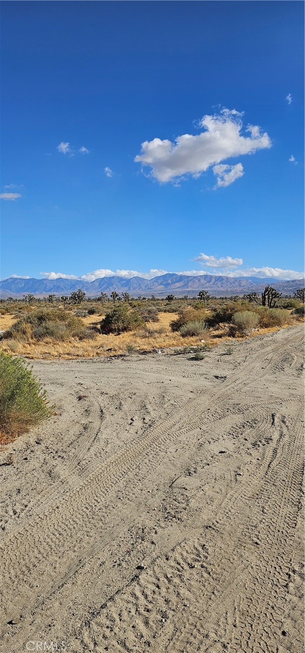 main property photo 2