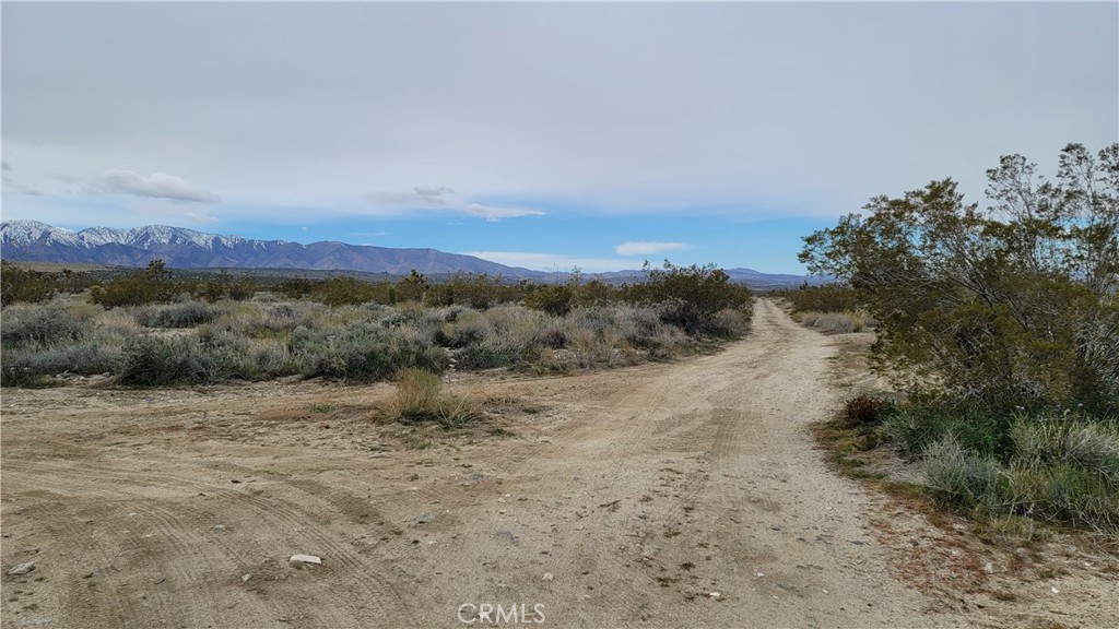 main property photo 4