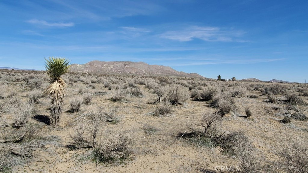 main property photo 18