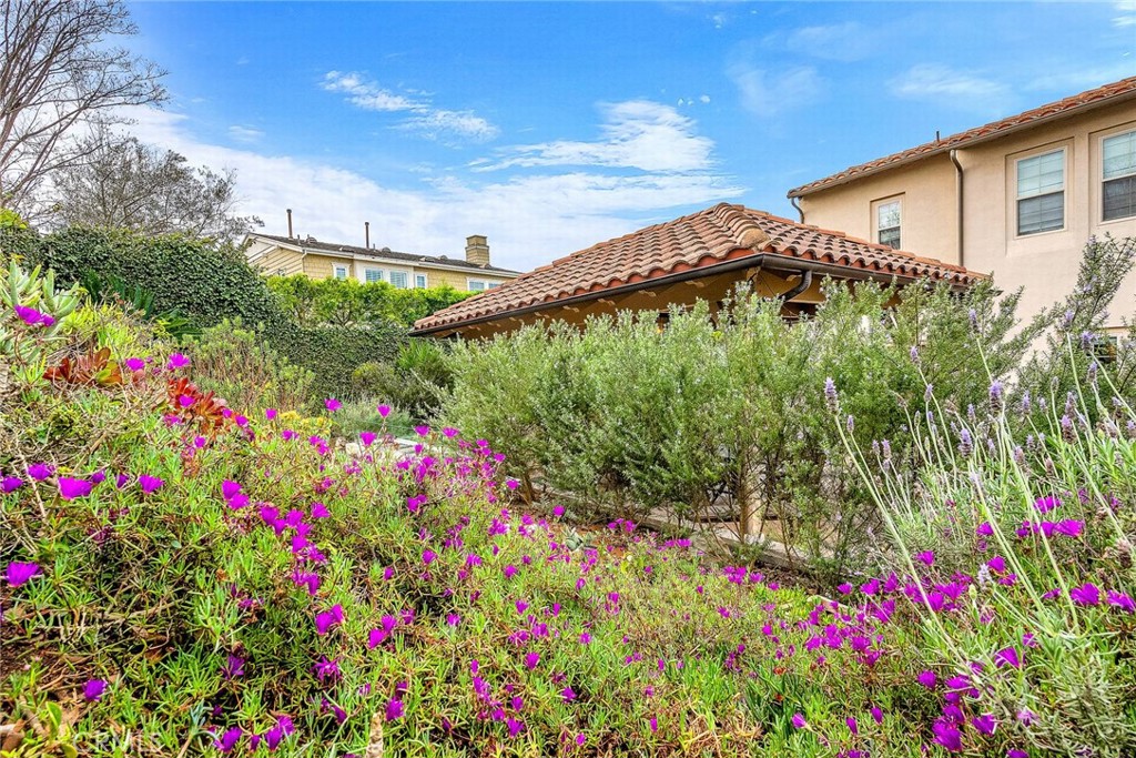 main property photo 59