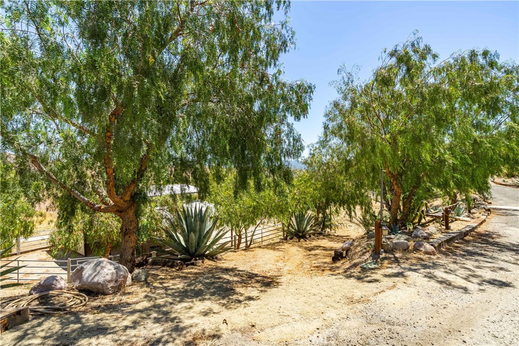 main property photo 62