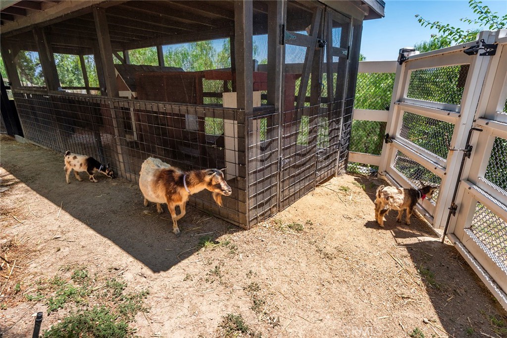 main property photo 47