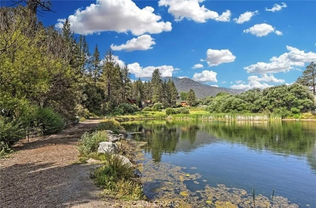 main property photo 74