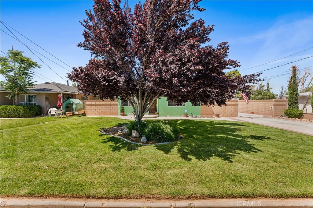 main property photo 5