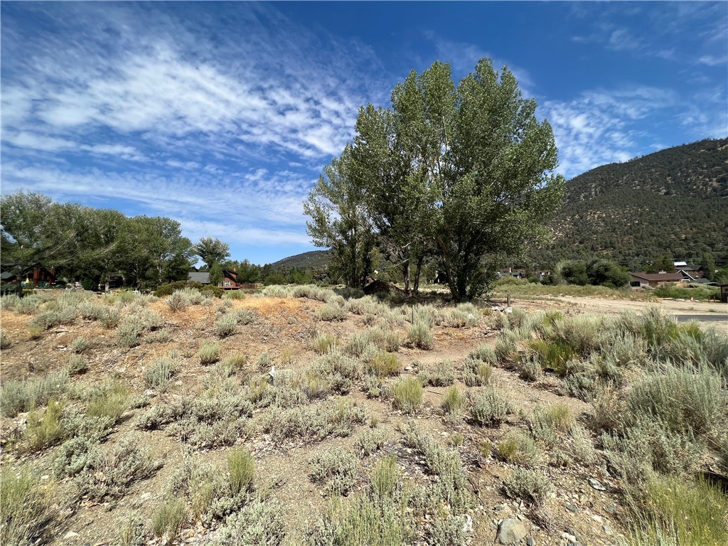 main property photo 9