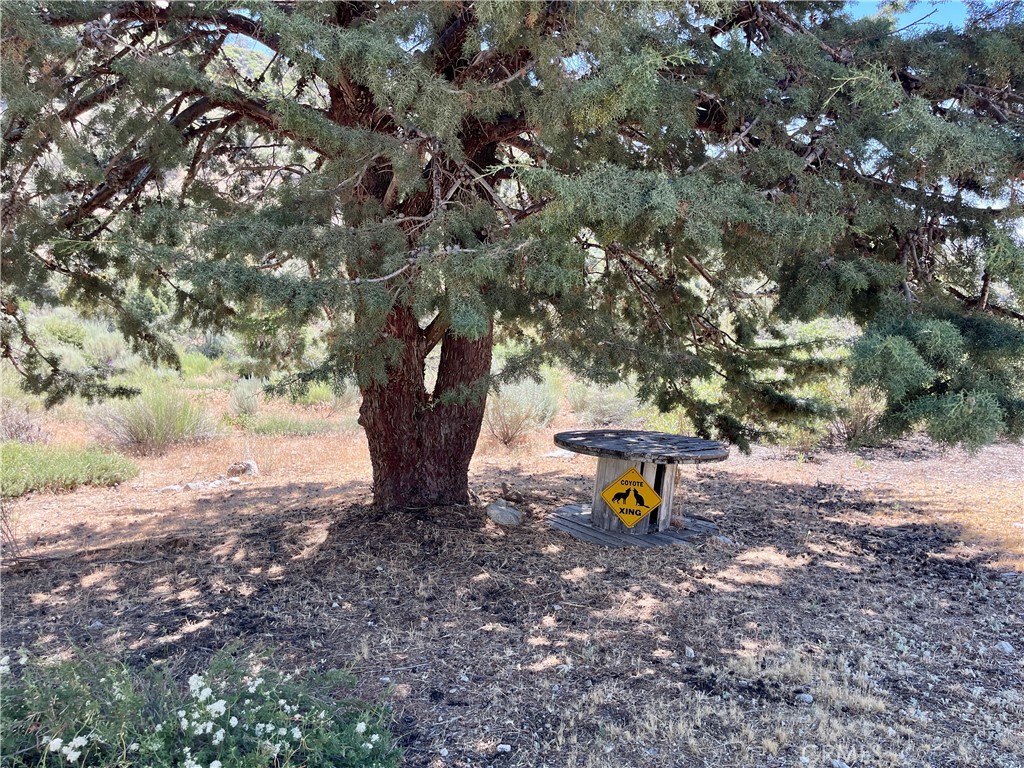 main property photo 24