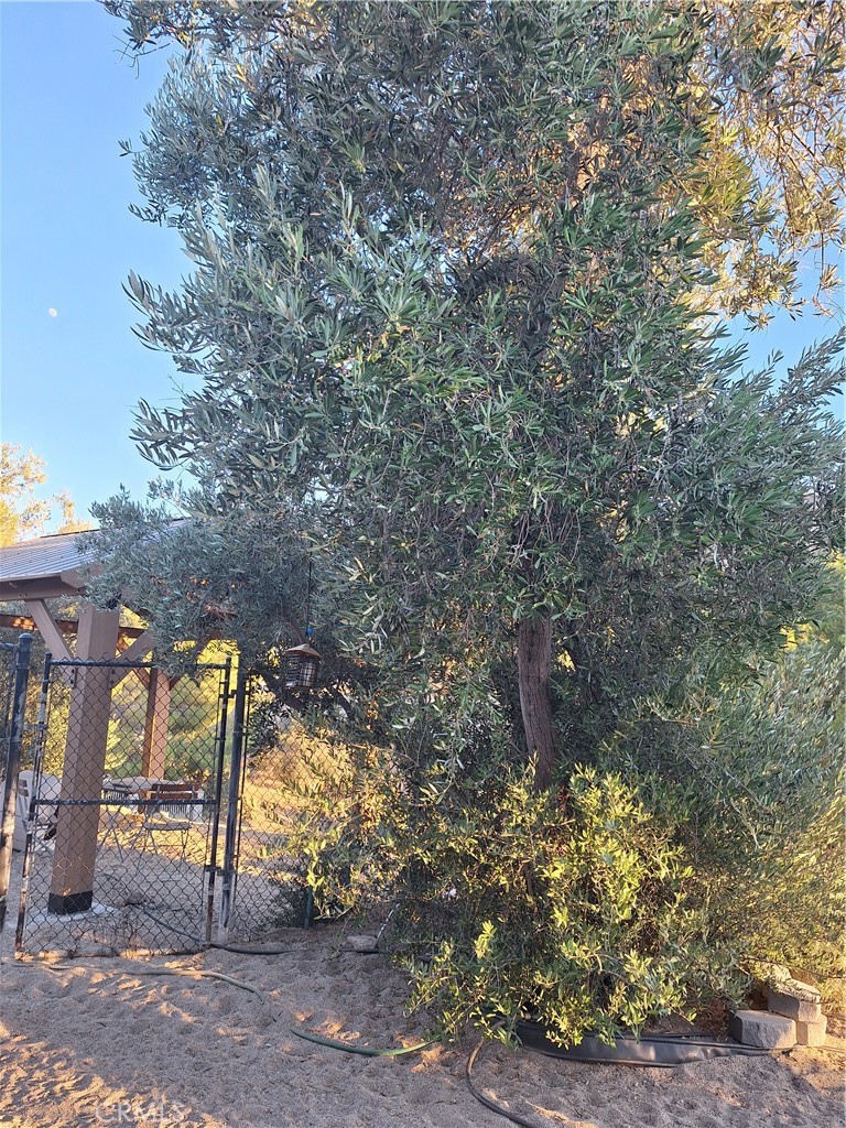 main property photo 28