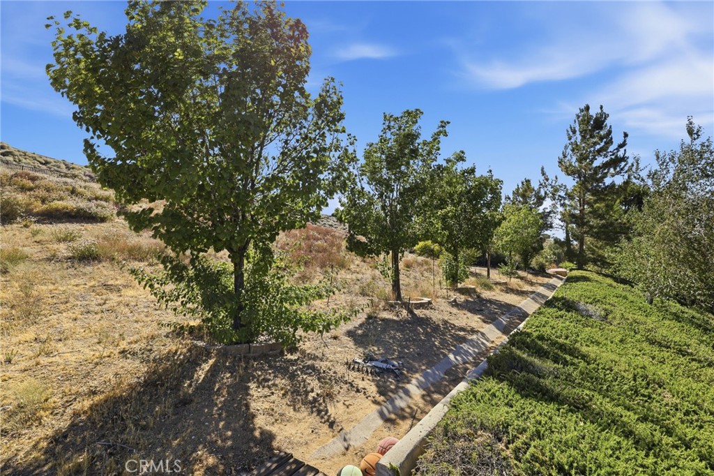 main property photo 52