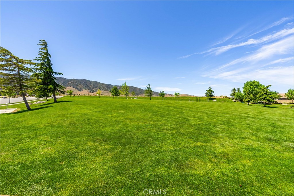 main property photo 56