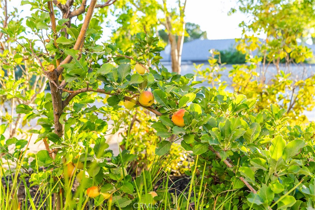 main property photo 62