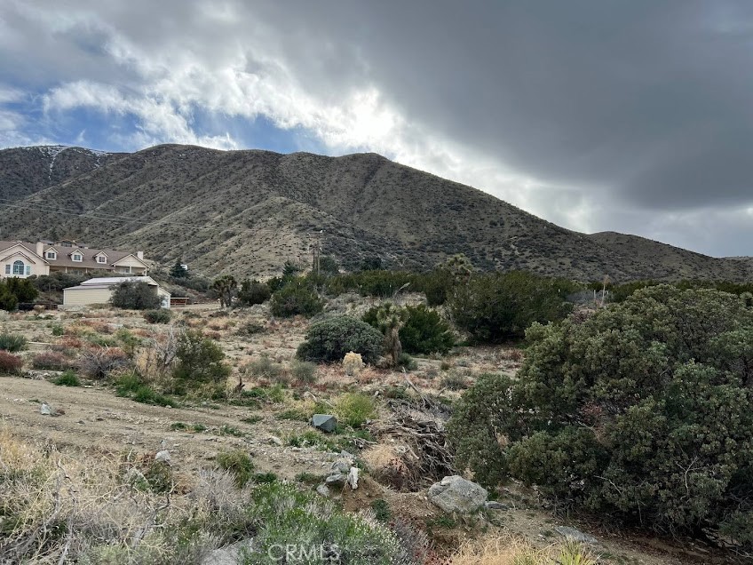 main property photo 32