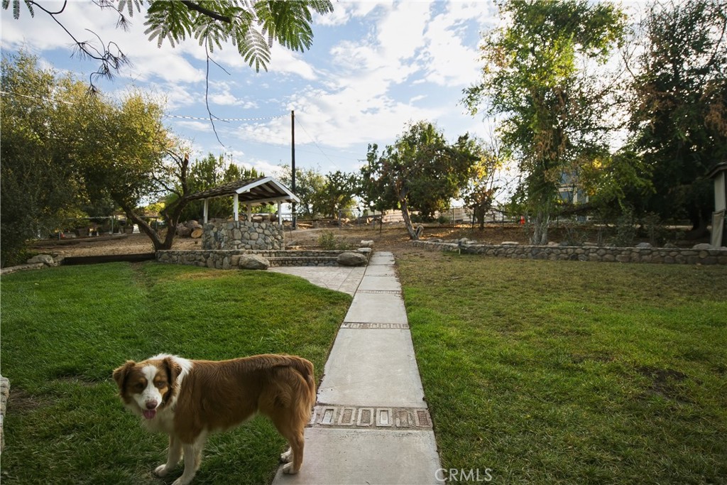 main property photo 25