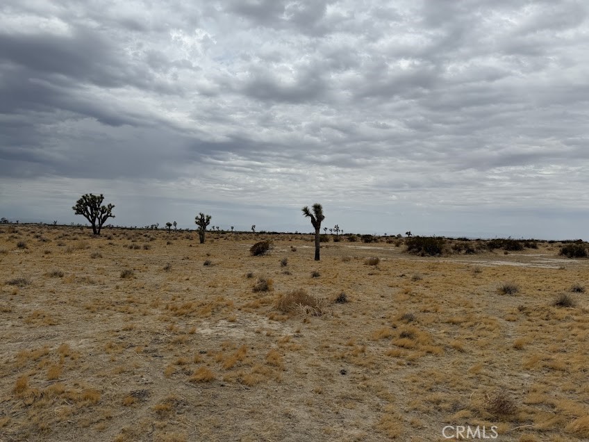 main property photo 30