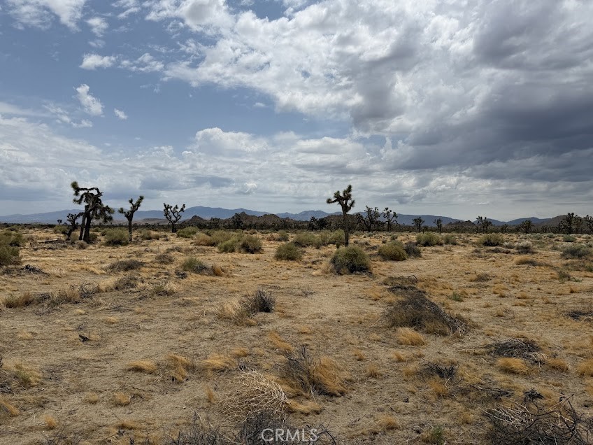 main property photo 56