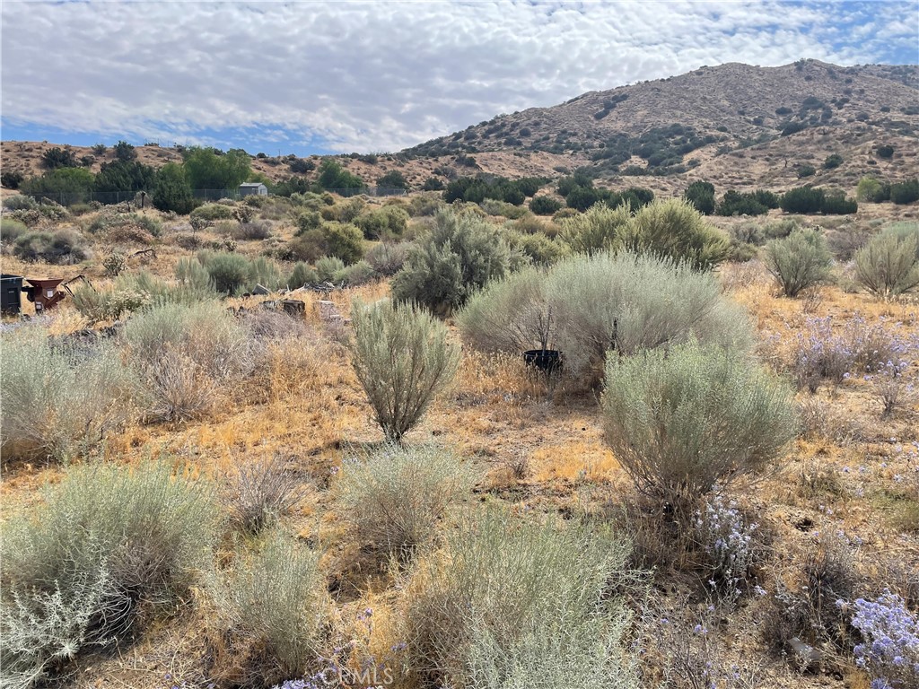 main property photo 8