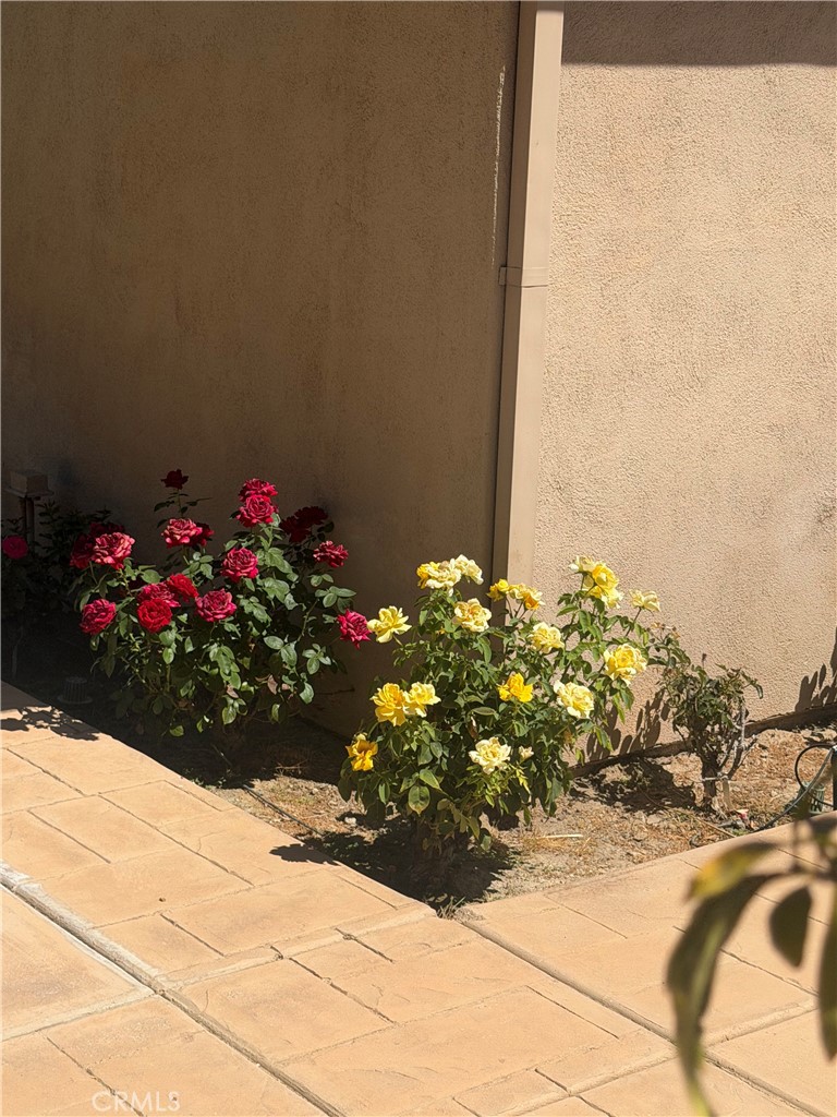 main property photo 51