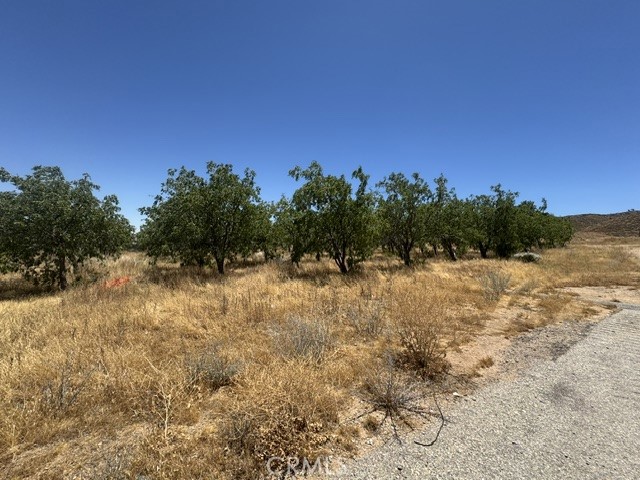 main property photo 48