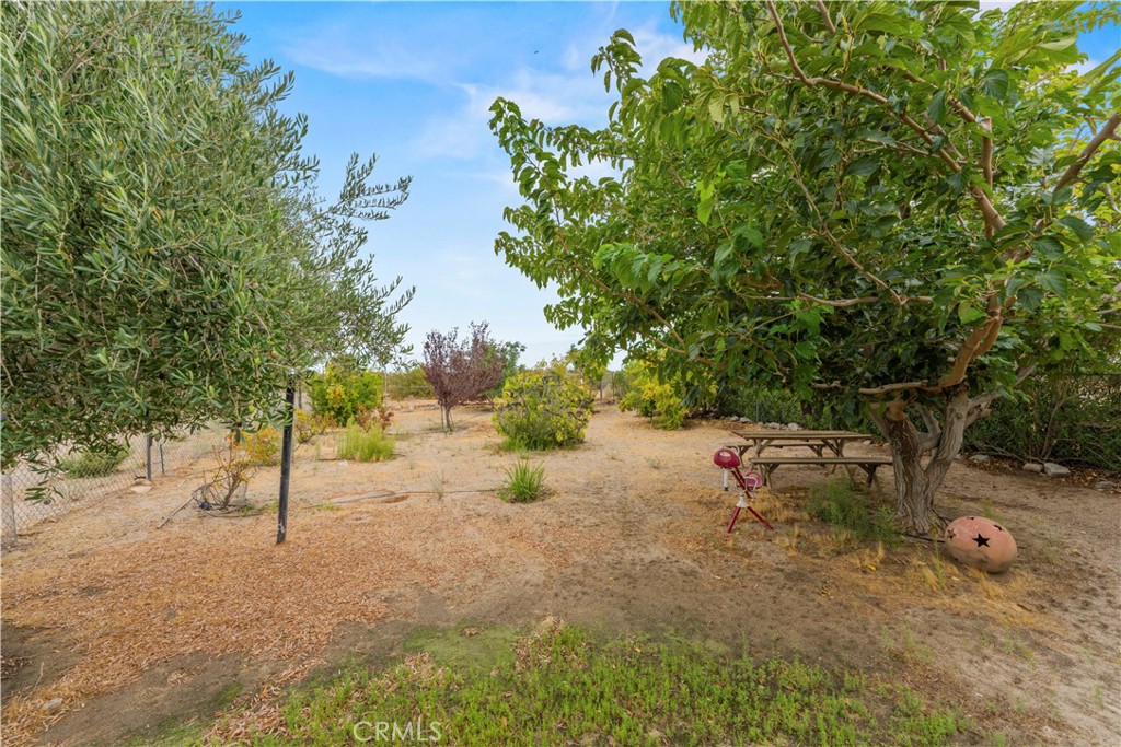 main property photo 46