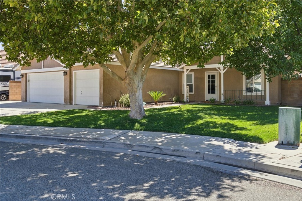main property photo 39