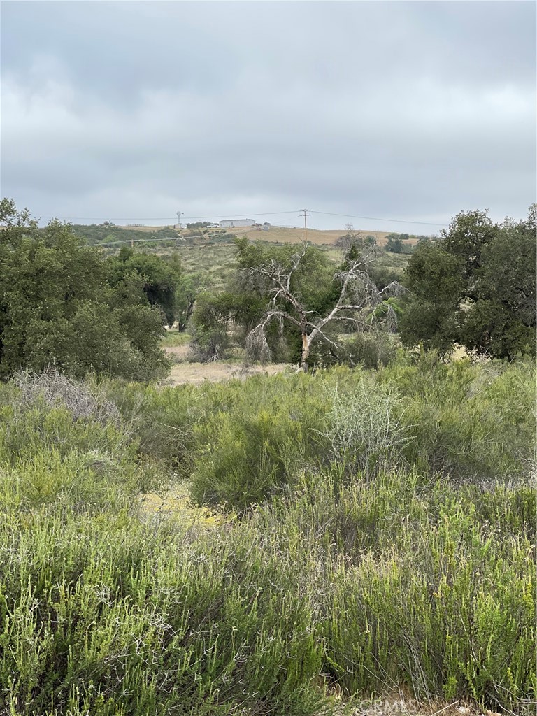main property photo 11
