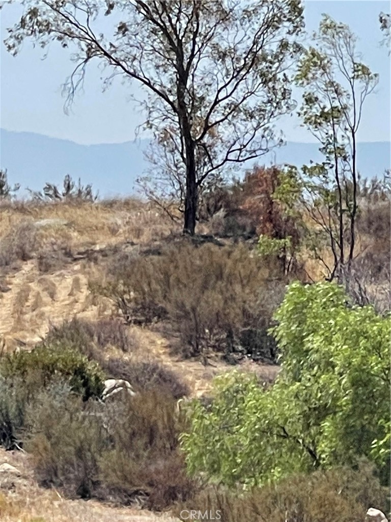 main property photo 19