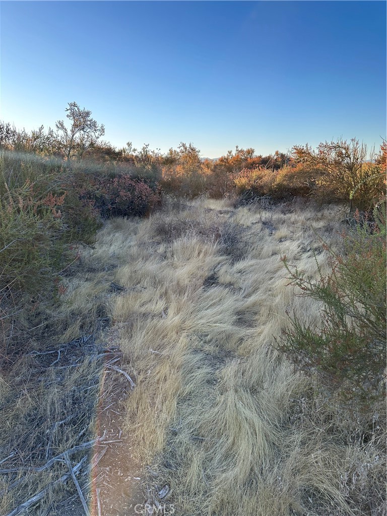 main property photo 13
