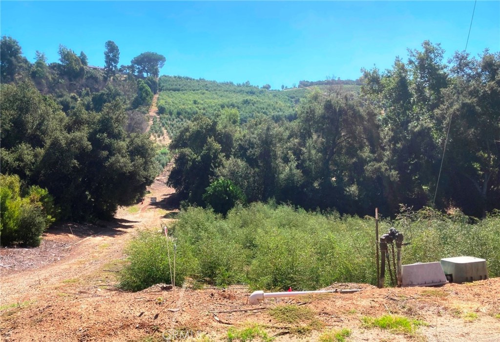 main property photo 11