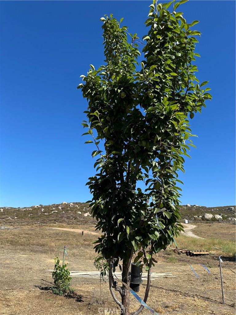 main property photo 16