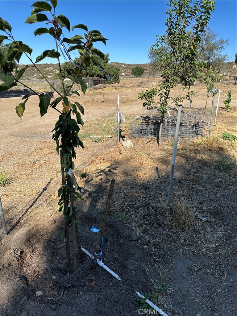 main property photo 19