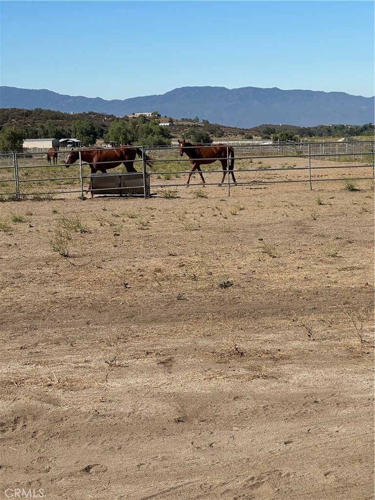 main property photo 47