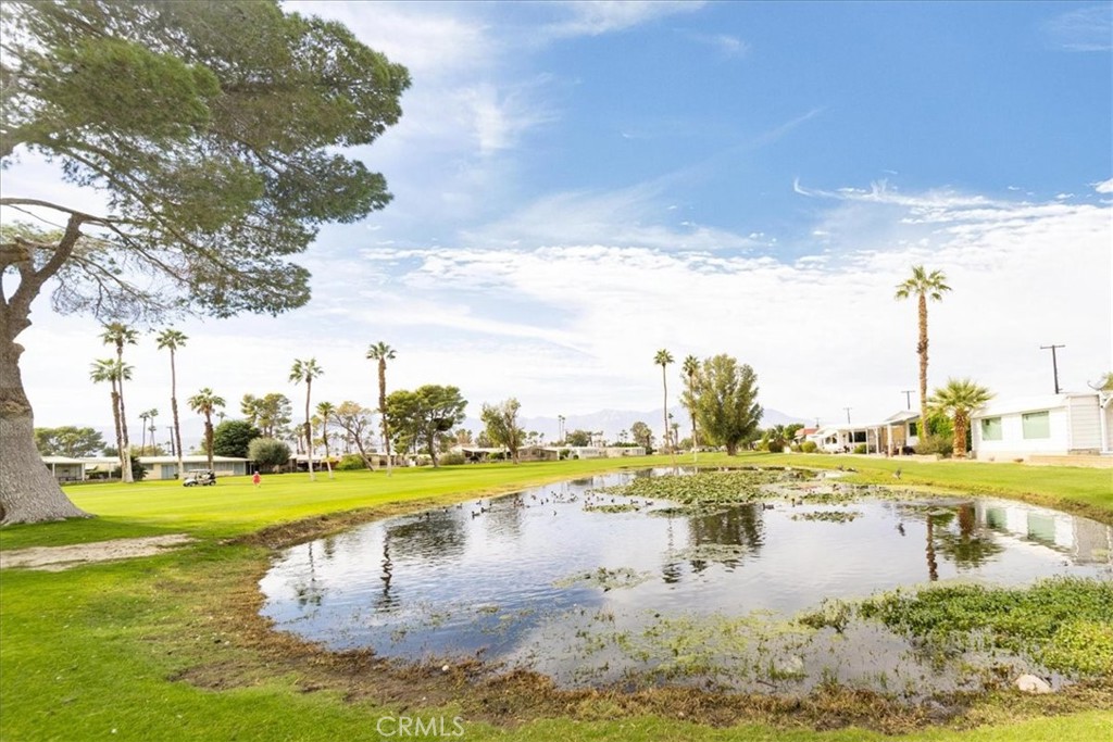 main property photo 45