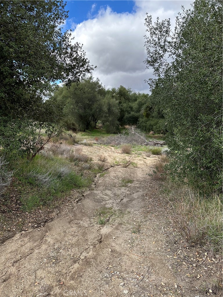 main property photo 40