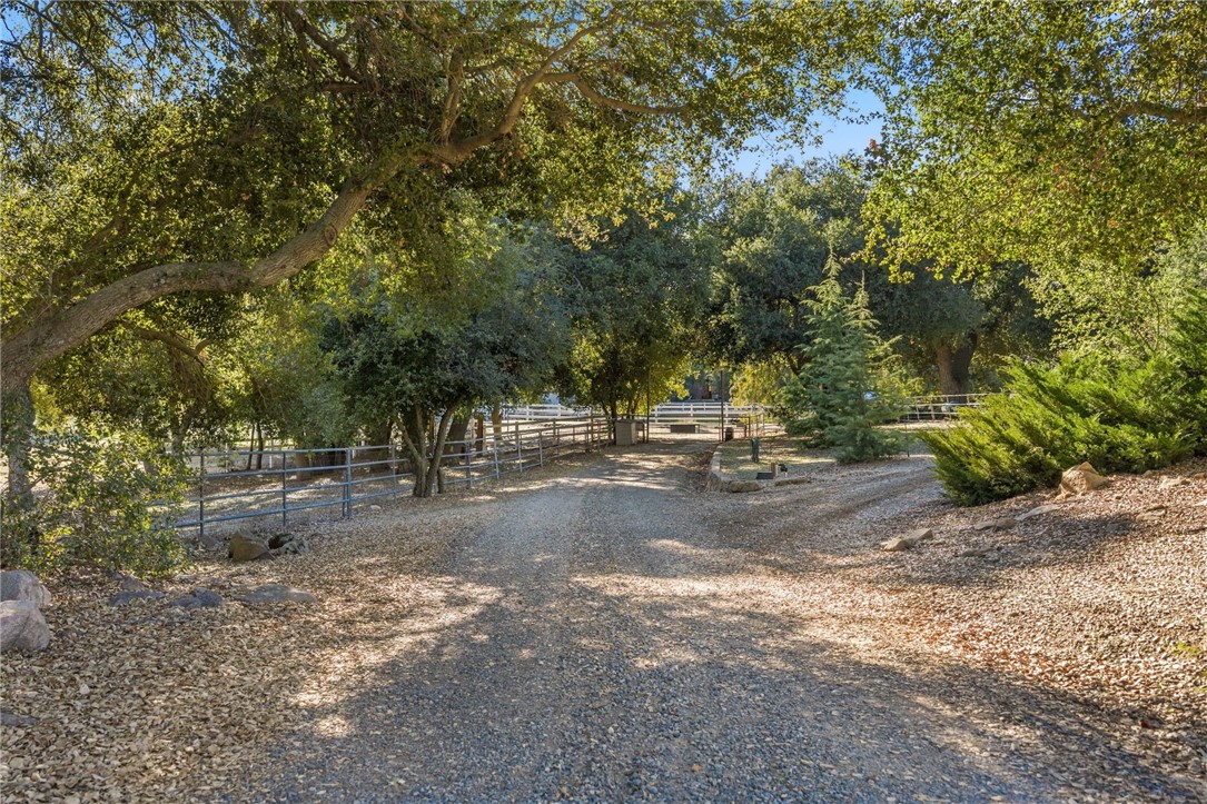 main property photo 54