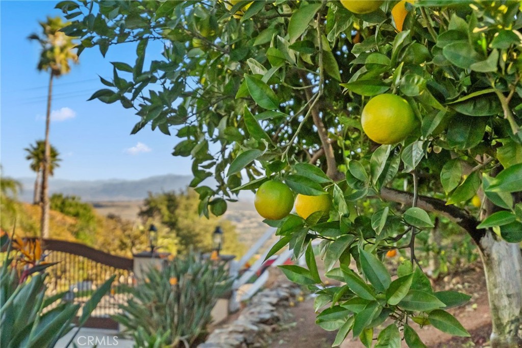 main property photo 55