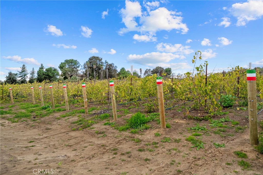 main property photo 39