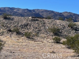 main property photo 9