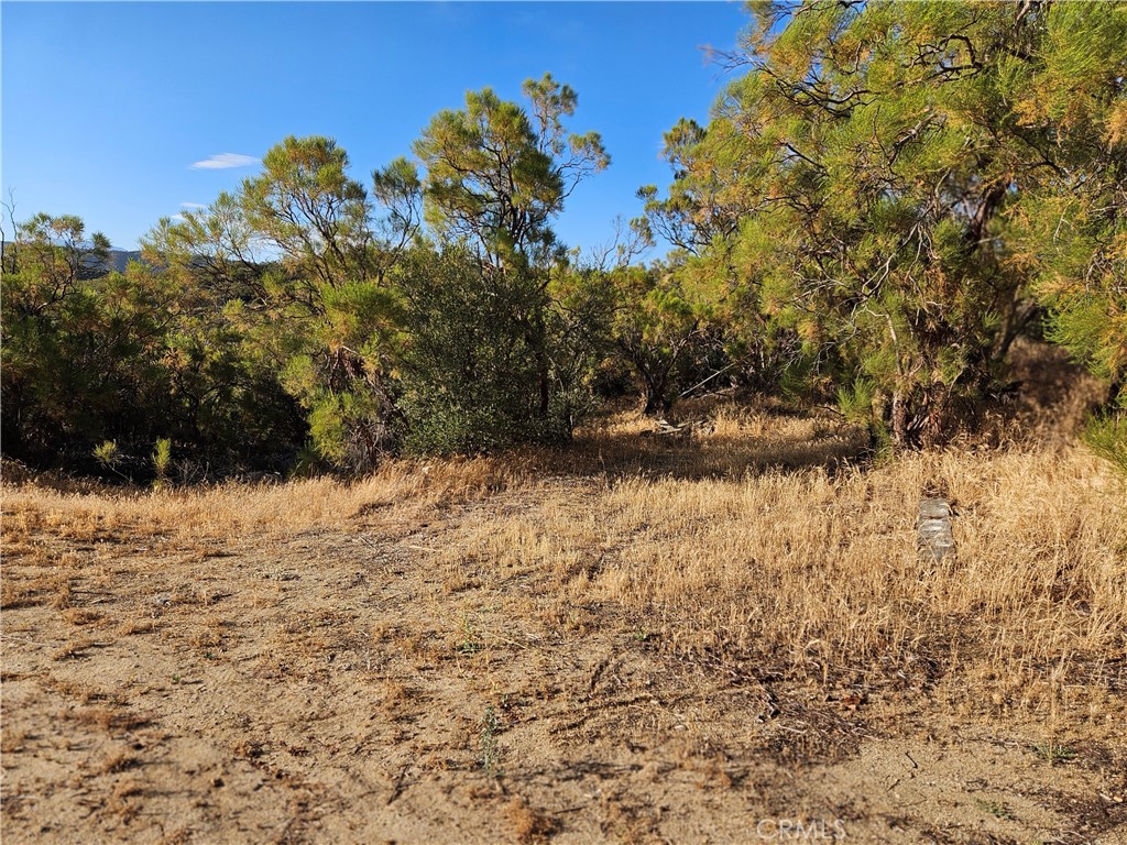 main property photo 19