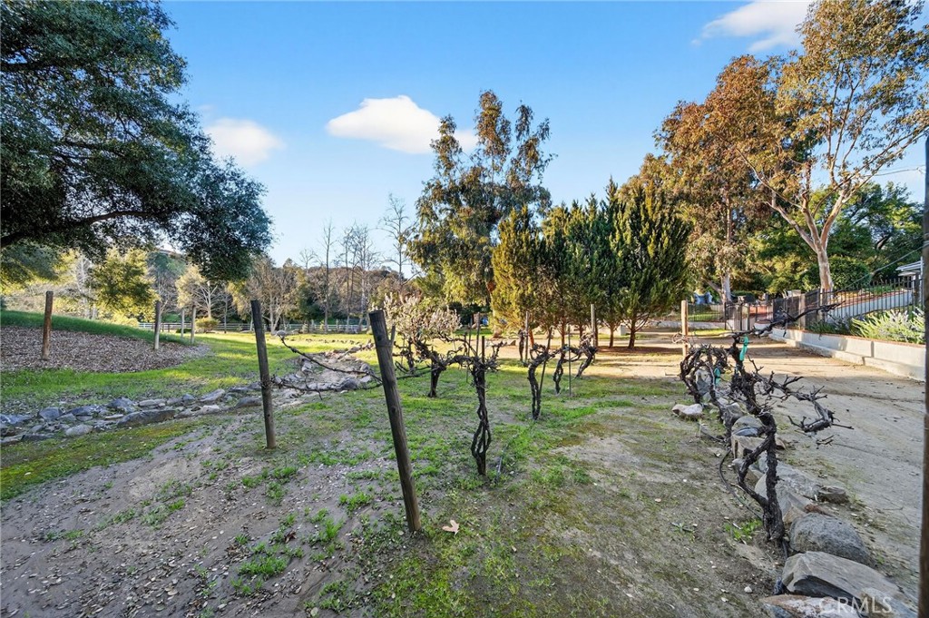 main property photo 63