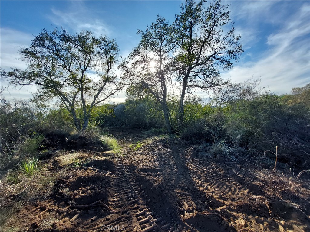 main property photo 25