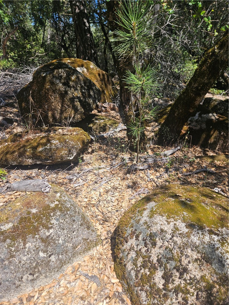 main property photo 43
