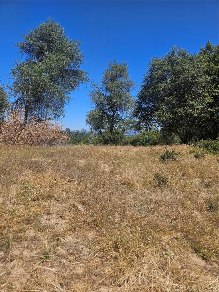 main property photo 46