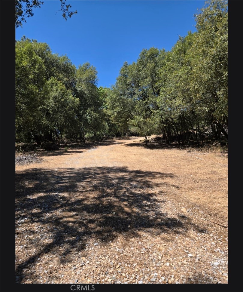main property photo 48